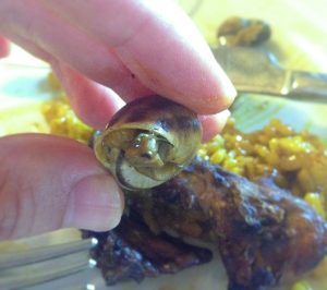 Spanish Food Snail paella